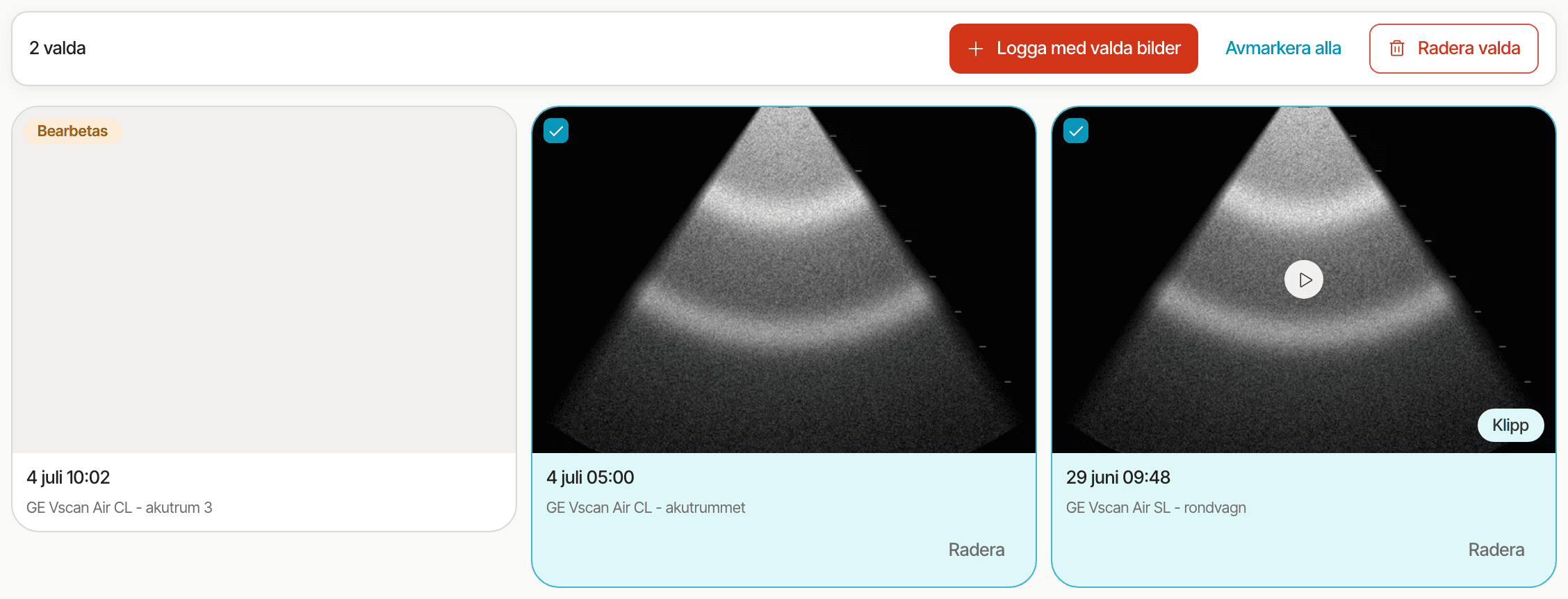Urvalsfältet med 2 valda och knapparna Logga med valda bilder, Avmarkera alla och Radera valda, och under fältet ett kort som bearbetas utan ruta och två markerade klara bilder.